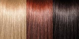 goldwell hair colour